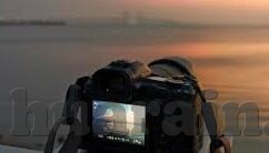 糖心vlog小桃up-走进糖心Vlog小桃，网络简史与个人成长之旅